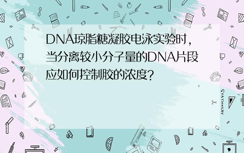 DNA琼脂糖凝胶电泳实验时,当分离较小分子量的DNA片段应如何控制胶的浓度?