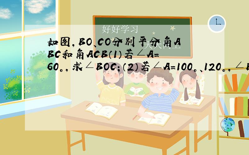 如图,BO、CO分别平分角ABC和角ACB（1）若∠A=60°,求∠BOC；（2）若∠A=100°、120°,∠BOC又是多少?（3）由(1)(2)你又发现了什么规律当∠A的度数发生变化后,你的结论仍成立吗?(提示：三角形的内角