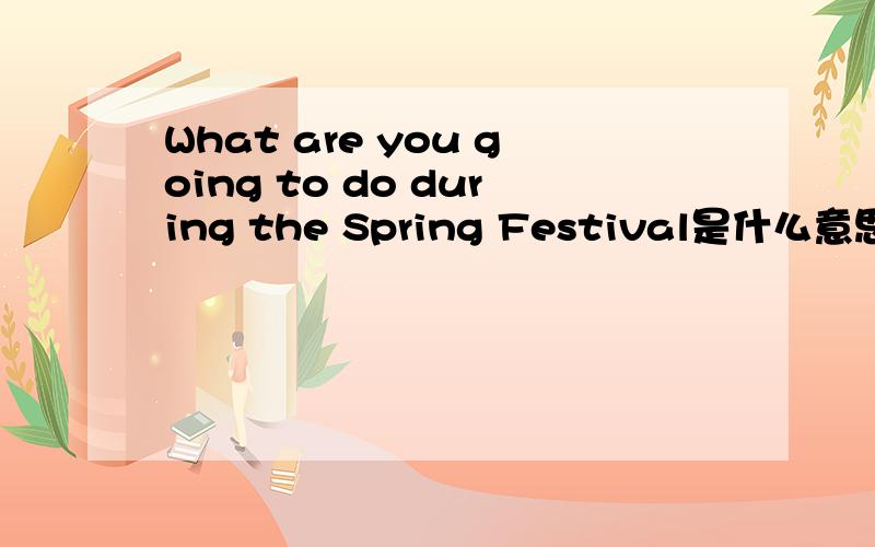 What are you going to do during the Spring Festival是什么意思
