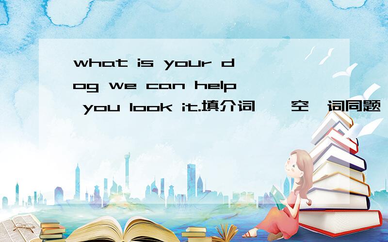 what is your dog we can help you look it.填介词,一空一词同题