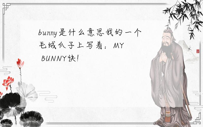 bunny是什么意思我的一个毛绒爪子上写着：MY     BUNNY快!