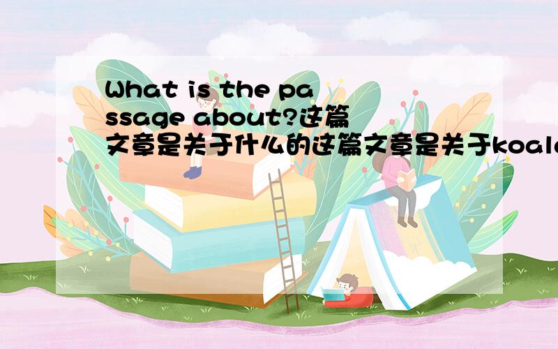 What is the passage about?这篇文章是关于什么的这篇文章是关于koala的 翻译