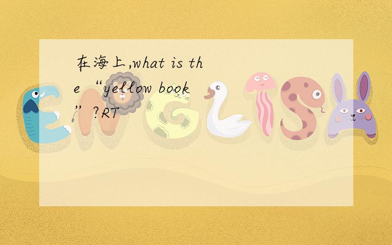 在海上,what is the “yellow book”?RT