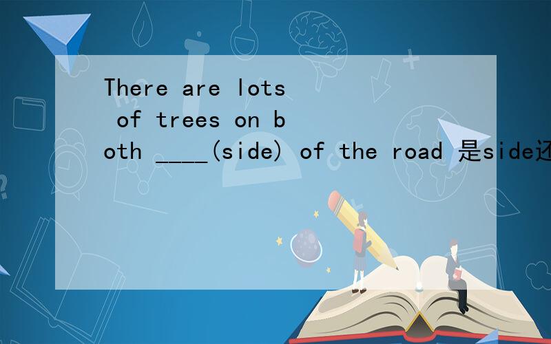 There are lots of trees on both ____(side) of the road 是side还是sides啊为什么