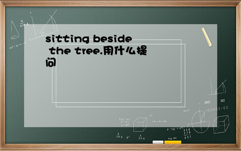 sitting beside the tree.用什么提问