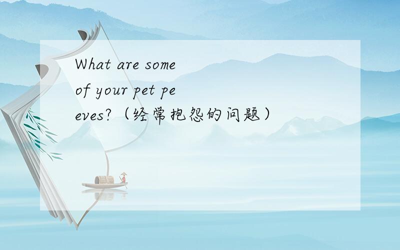 What are some of your pet peeves?（经常抱怨的问题）