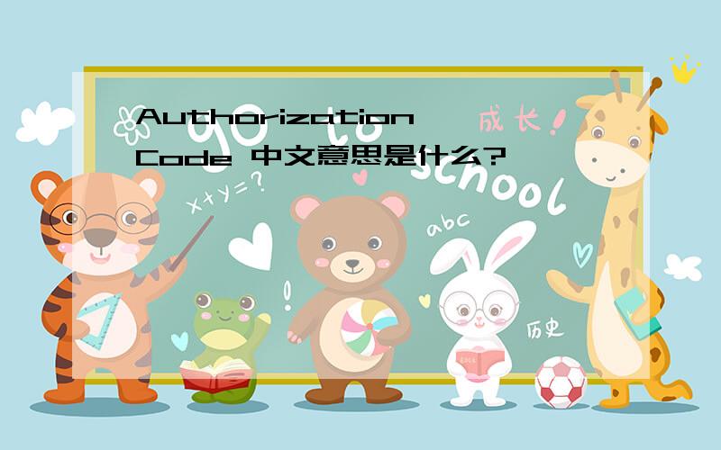 Authorization Code 中文意思是什么?