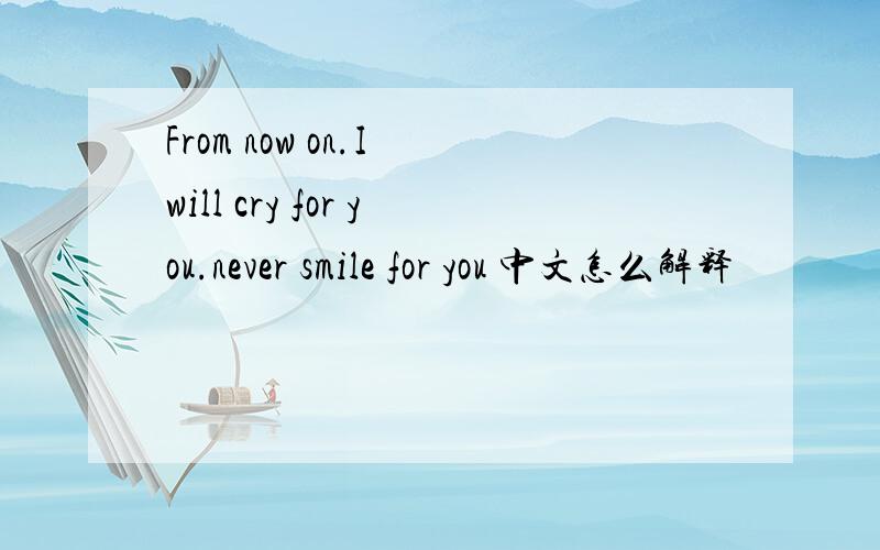From now on.I will cry for you.never smile for you 中文怎么解释