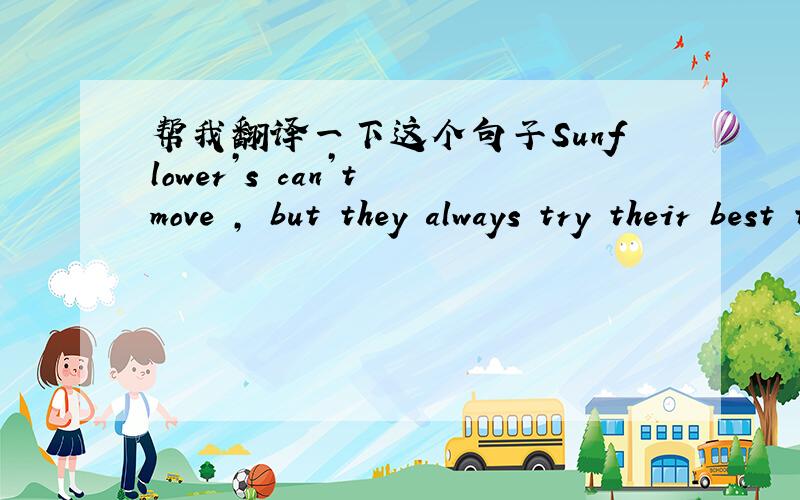 帮我翻译一下这个句子Sunflower’s can’t move , but they always try their best to find the way.