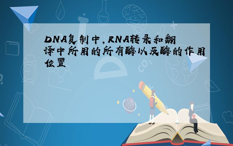 DNA复制中,RNA转录和翻译中所用的所有酶以及酶的作用位置