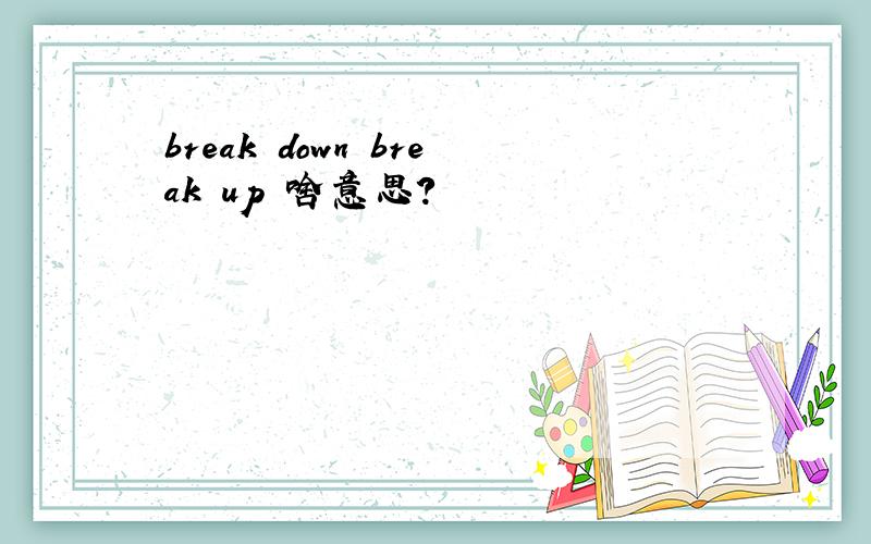 break down break up 啥意思?