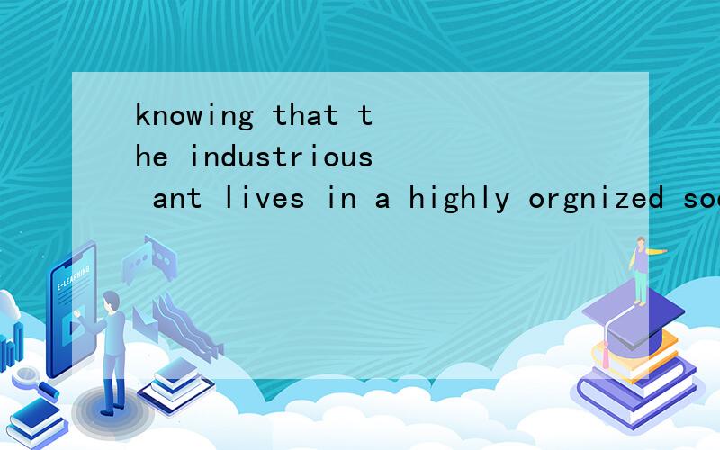 knowing that the industrious ant lives in a highly orgnized society does nothing to prevent us being filled with revulsion