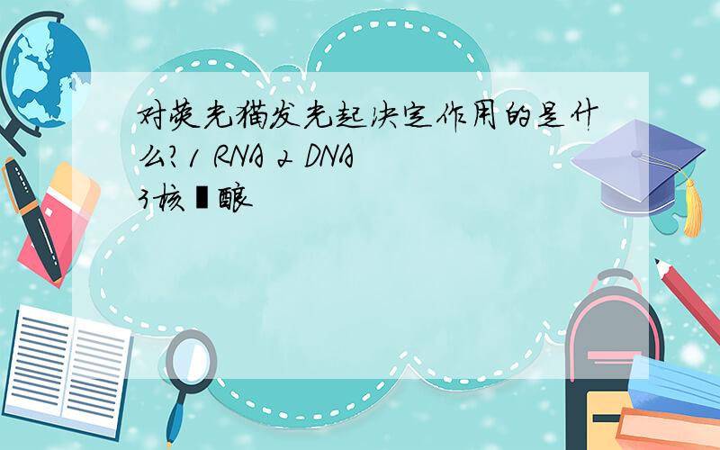 对荧光猫发光起决定作用的是什么?1 RNA 2 DNA 3核苷酸