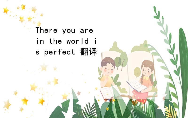 There you are in the world is perfect 翻译