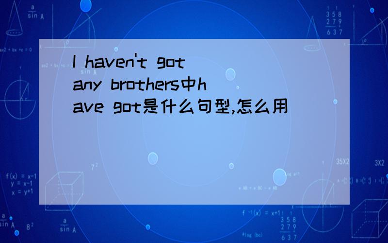 I haven't got any brothers中have got是什么句型,怎么用