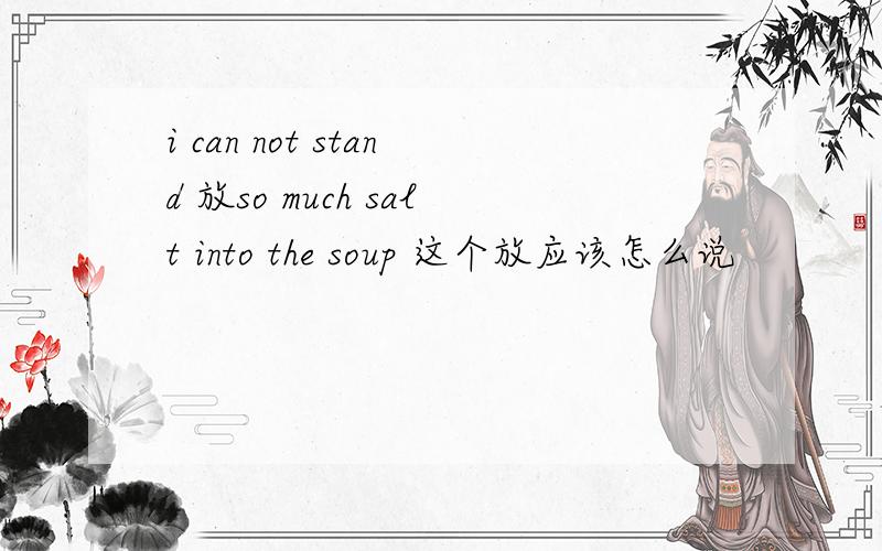i can not stand 放so much salt into the soup 这个放应该怎么说