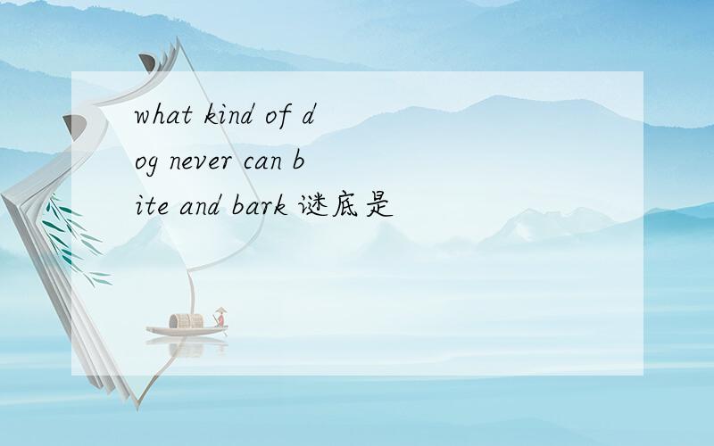 what kind of dog never can bite and bark 谜底是