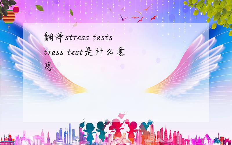 翻译stress teststress test是什么意思