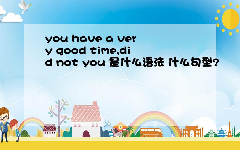 you have a very good time,did not you 是什么语法 什么句型?