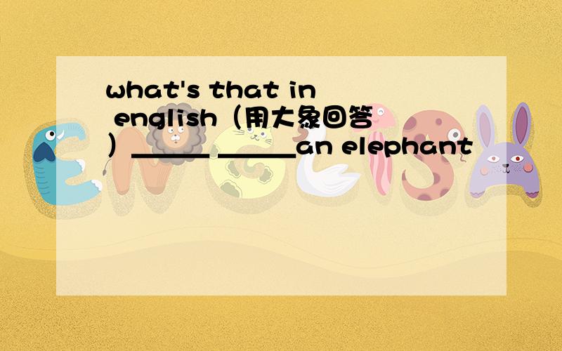 what's that in english（用大象回答）＿＿＿ ＿＿＿an elephant