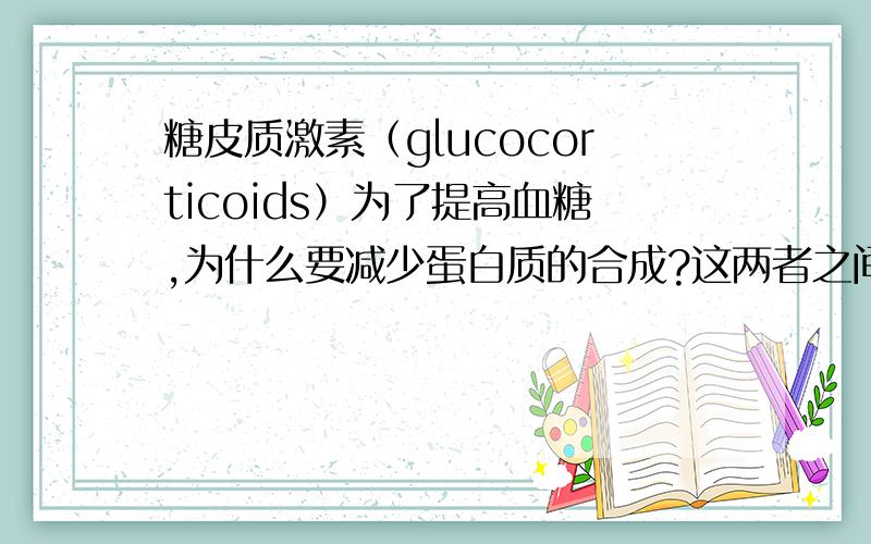 糖皮质激素（glucocorticoids）为了提高血糖,为什么要减少蛋白质的合成?这两者之间有什么关系?蛋白质不能直接转化成葡萄糖吗？一定要先转化为氨基酸才能转化吗？