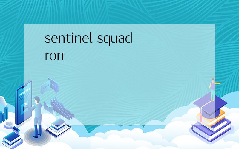 sentinel squadron
