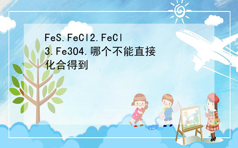 FeS.FeCl2.FeCl3.Fe3O4.哪个不能直接化合得到