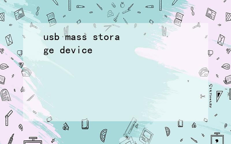 usb mass storage device